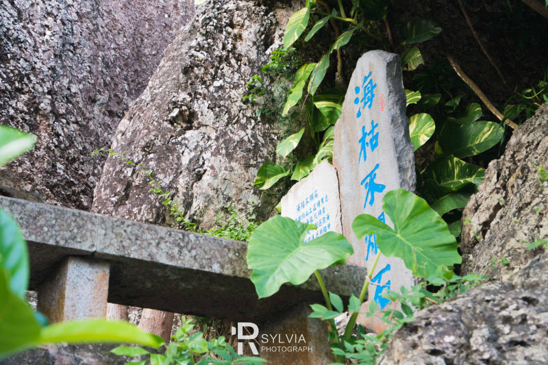 春节去三亚避寒攻略,冬天来三亚避寒