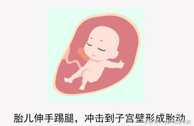 胎动是一种怎样的感觉,胎动晚上活跃怎么回事