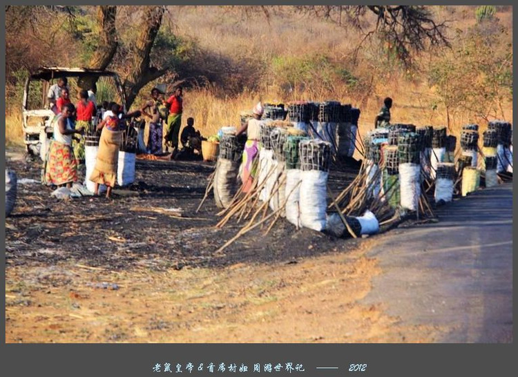 娲ュ反甯冮煢鎶楄闈炴硶鍒惰,娲ュ反甯冮煢涓轰粈涔堣鍒惰