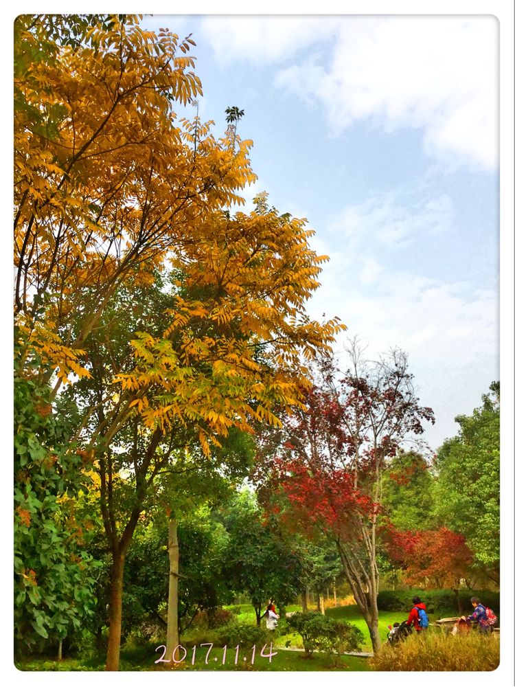 十大最美校园深圳大学,探访最美大学武汉大学