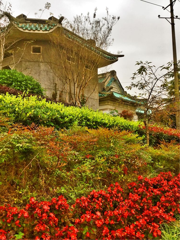 十大最美校园深圳大学,探访最美大学武汉大学