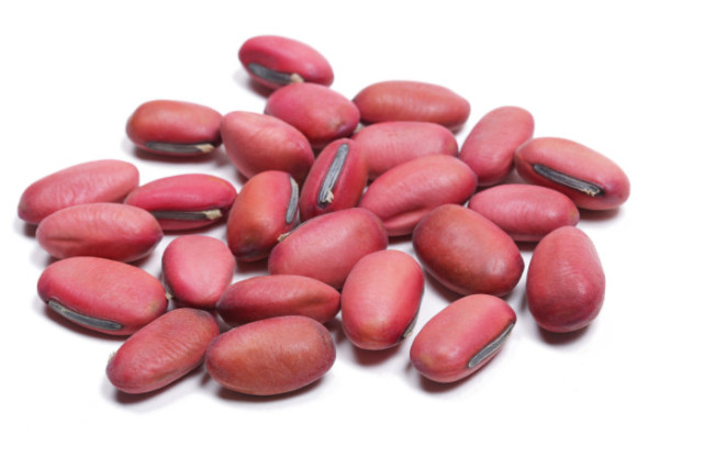 活血散瘀的药物有什么,活血化瘀的药全身有效吗