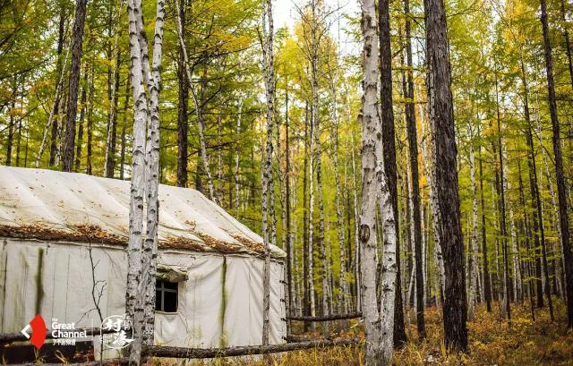 这部轻氧纪录片太震撼《了不起的匠人》之后又一匠心巨制