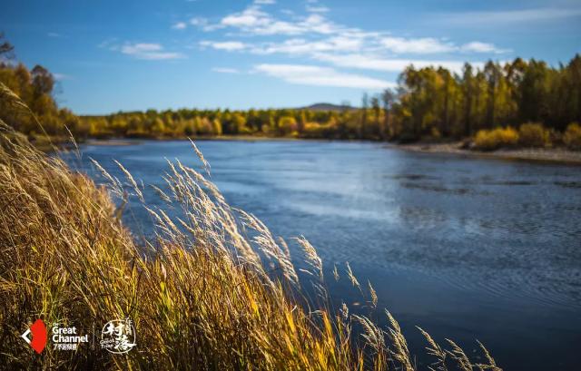 这部轻氧纪录片太震撼《了不起的匠人》之后又一匠心巨制