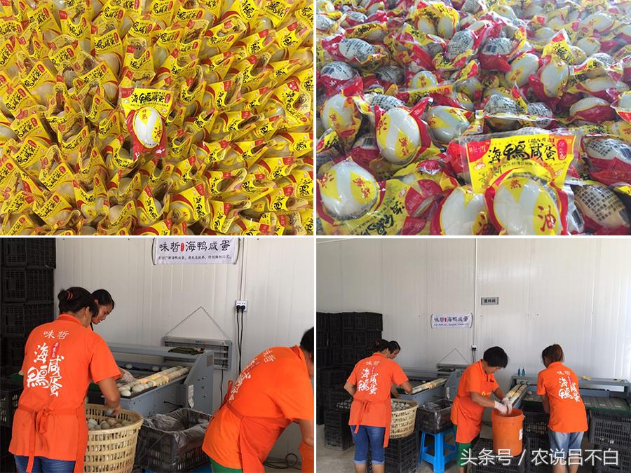 90后卖鸭货创业,90后创业红树林海鸭蛋