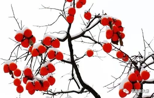 白里透红美颜,白里透红娇颜