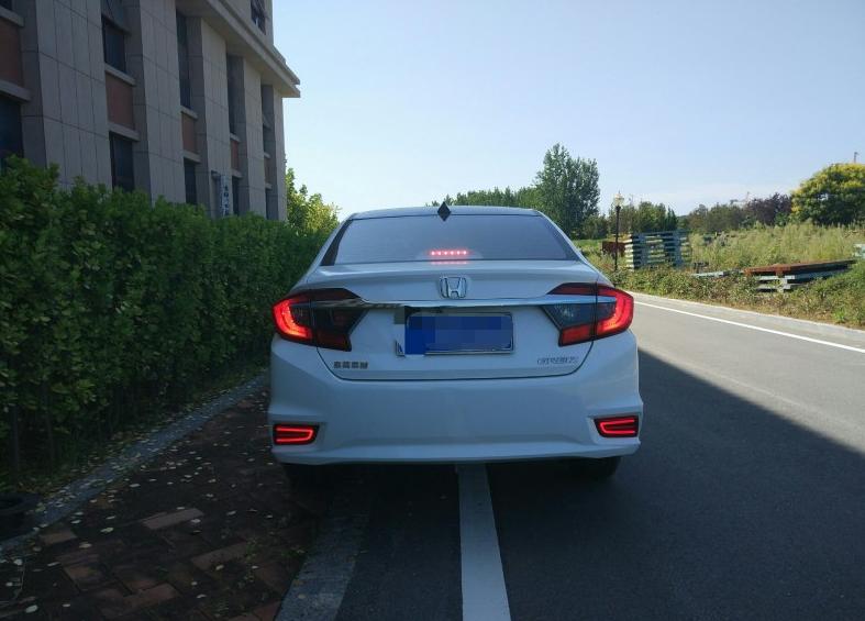 思域哥瑞,哥瑞和思域