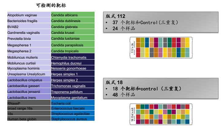 妇科感染病原的精准诊断