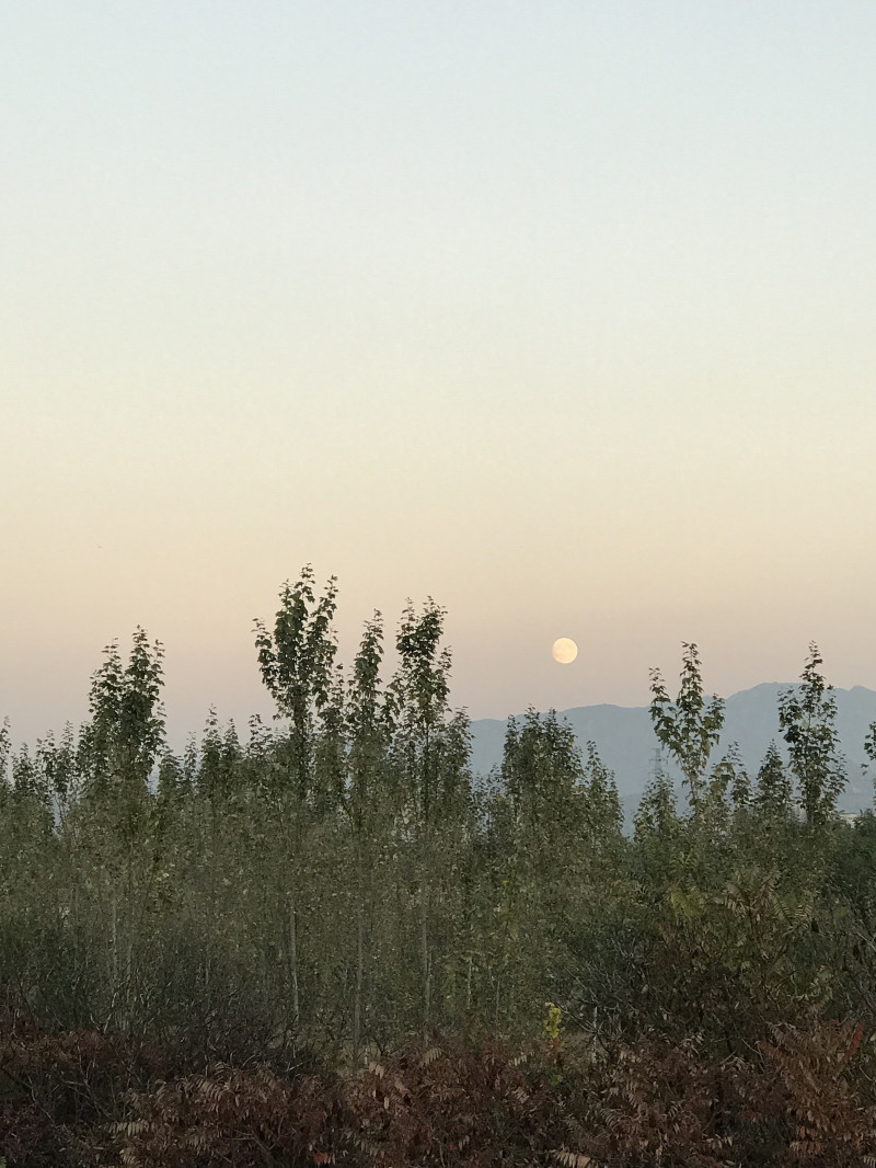 自驾赤峰草原2日,自驾赤峰草原视频