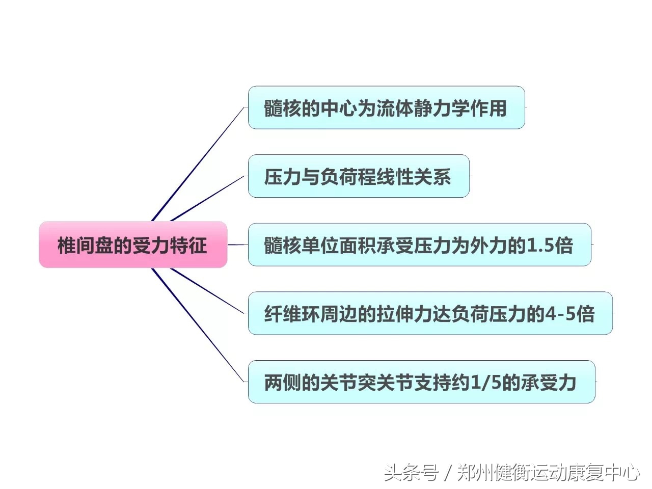 康复治疗技术专业职业思维导图,康复工程知识点思维导图