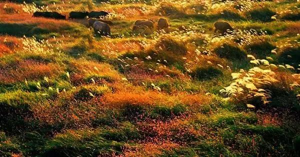 深圳高铁能到的旅游城市,深圳高铁1小时到的风景区