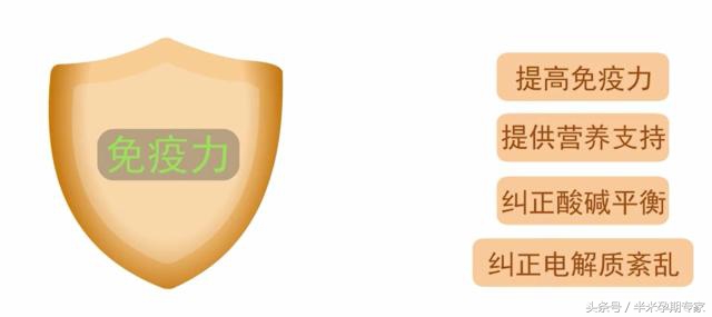 怀孕母猪肺炎怎么治疗,怀孕肺炎支原体感染