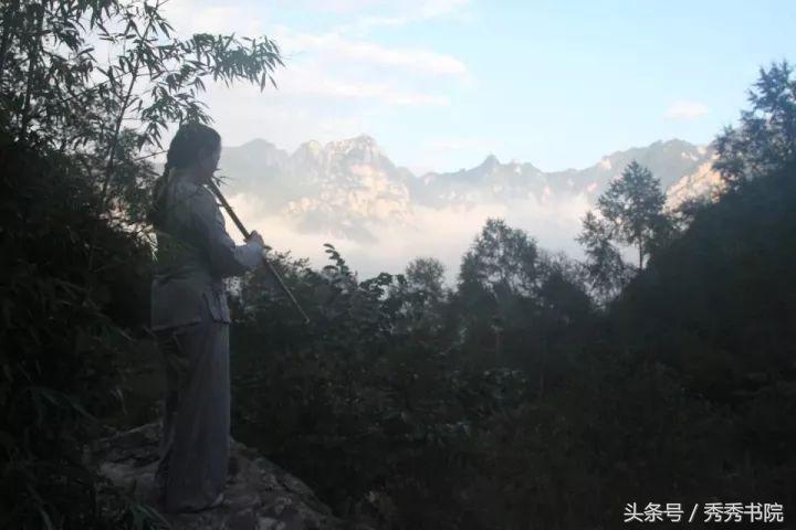 茶道养生全集视频,茶道养生课视频