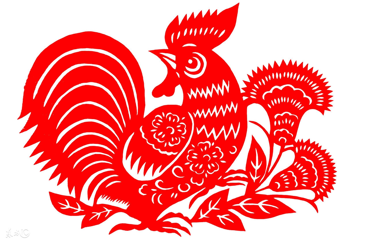 关于奥数学习的全面解读,小学奥数到底怎么学