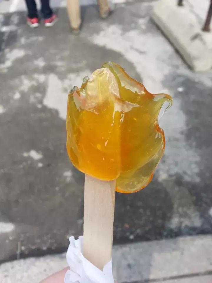 渥太华的冬季,渥太华冬季