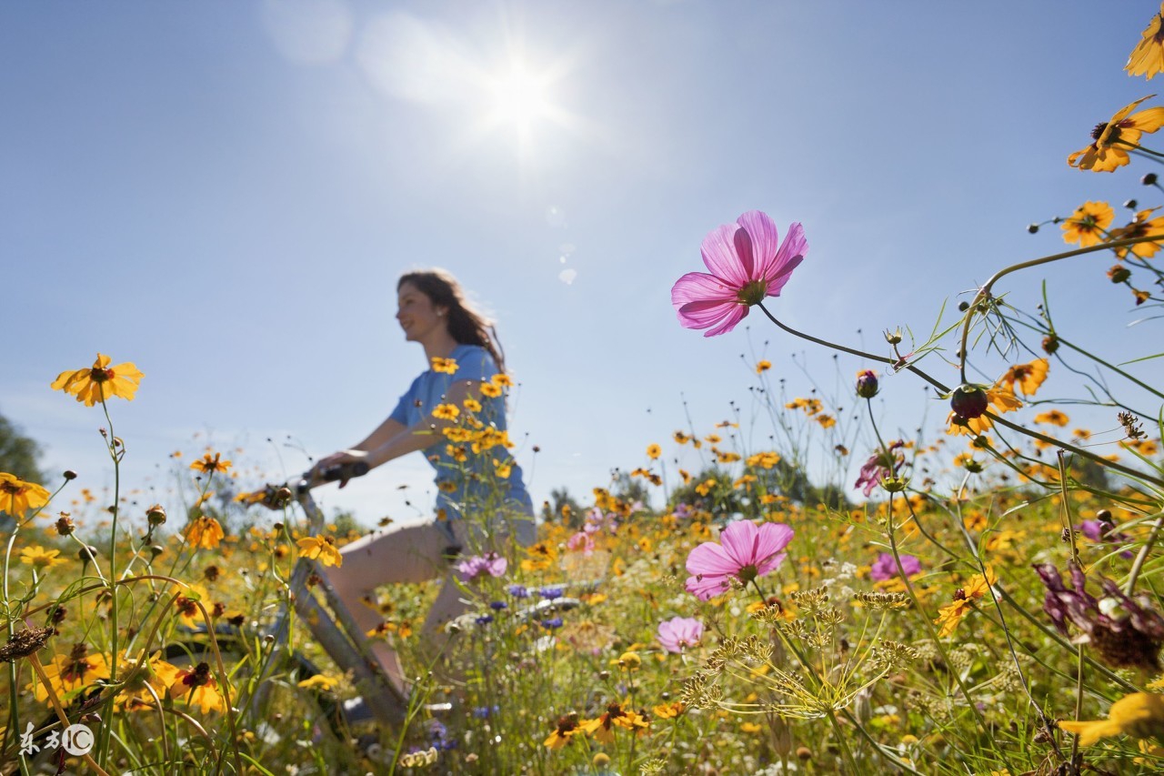 四六级必备的500个核心单词,500个基础的英语单词