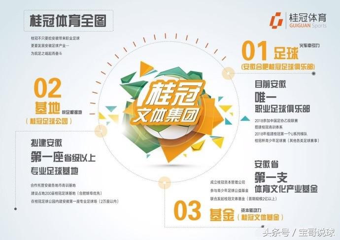 合肥桂冠球队老板桂鑫,桂鑫安徽桂冠