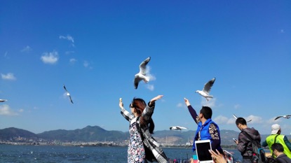 抗击肝癌最佳方案,抗肝癌良方