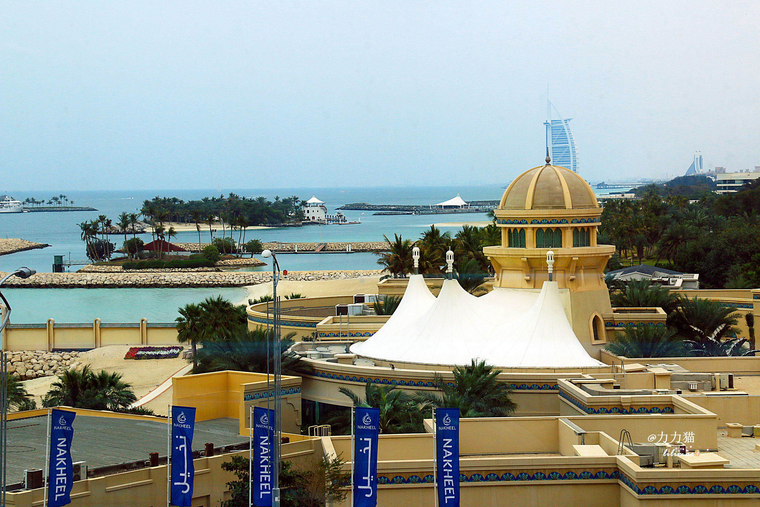 阿联酋：谁富有要看门口的树