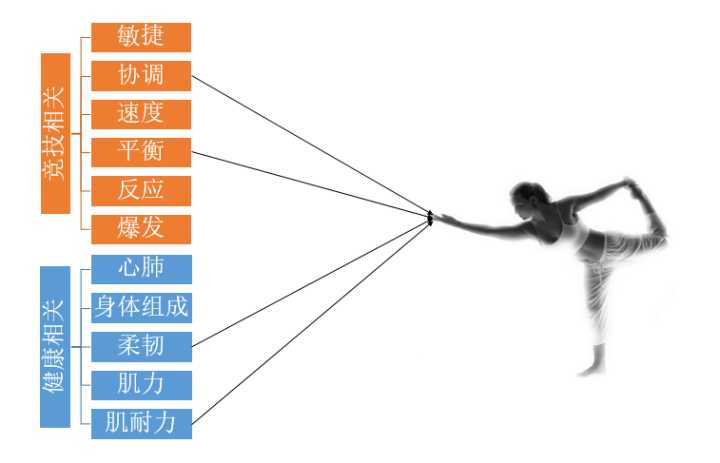 腰果直播教学视频,腰果直播如何讲解