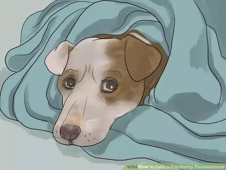 打雷害怕该怎么回复,打雷女生害怕怎么安慰