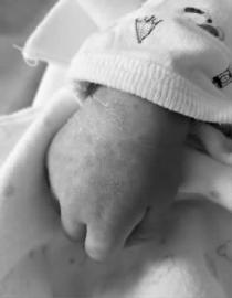 长春市丽宝月子中心,长春台北丽宝