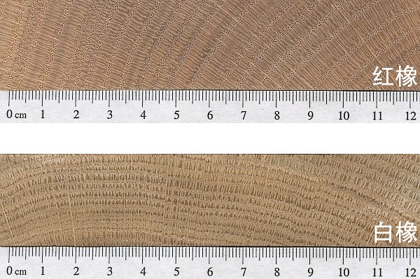 白橡木和红橡木白蜡木哪个好,红橡木和白橡木的价格对比