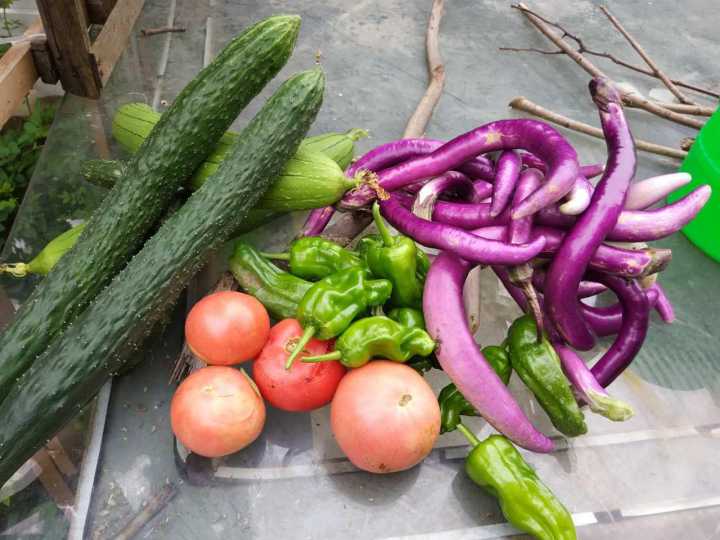 80后斜杠青年装修爆改姑苏民居找寻属于他的诗和远方