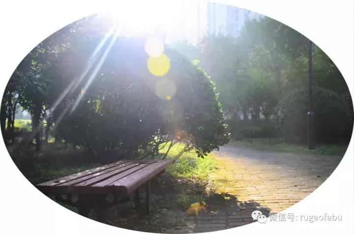 中国宜居长寿城市,美丽的如皋长寿之乡