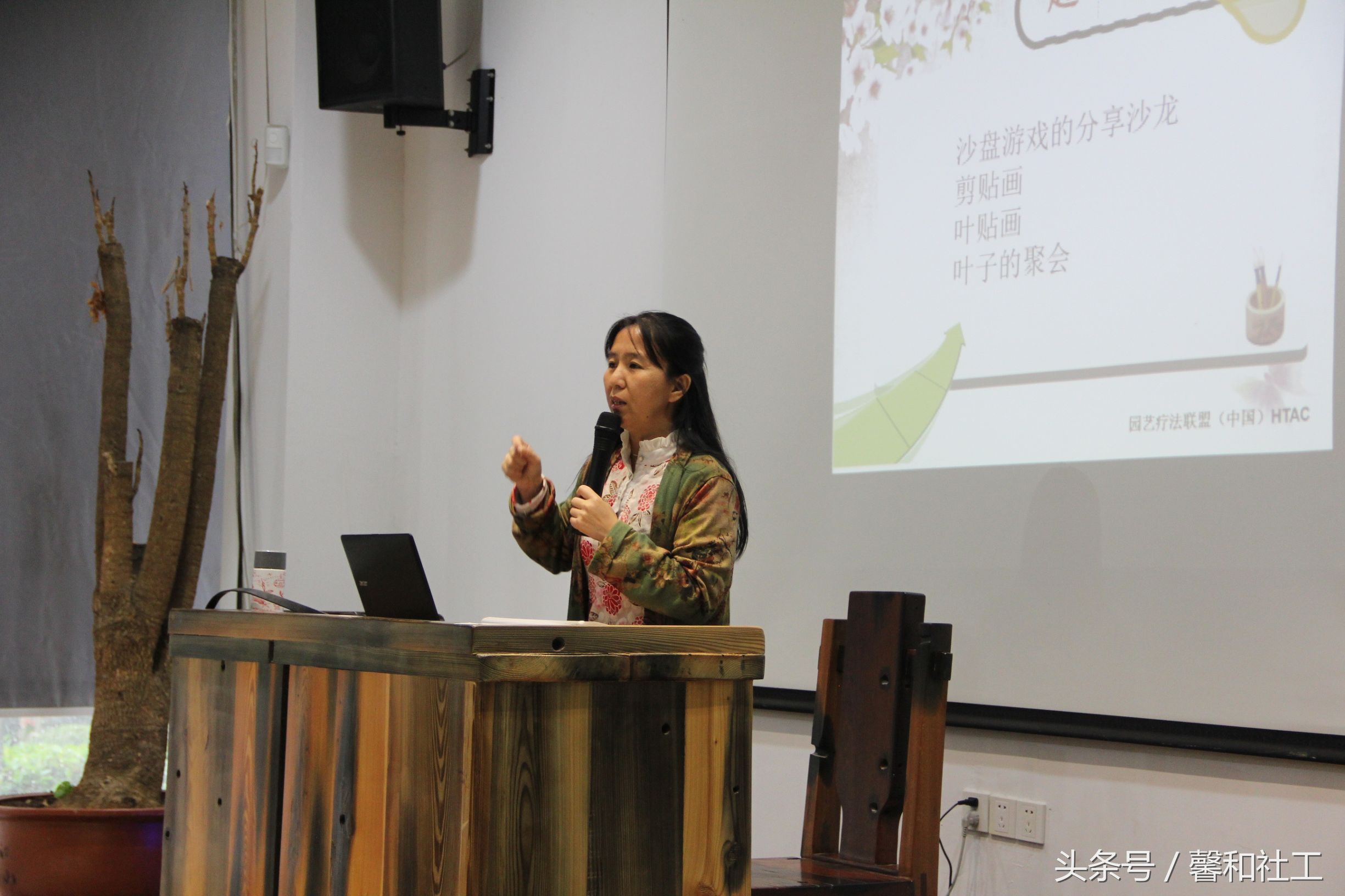 1994——2014年间中国园艺疗法的本土化研究