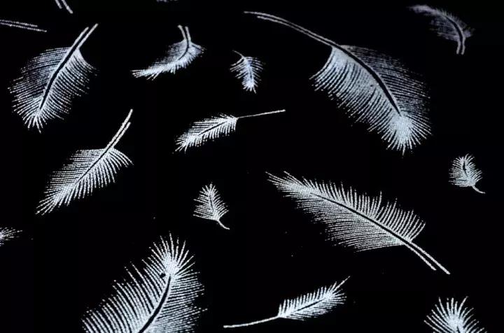 阿里律师、法务以及方兴东……一地鸡毛背后，电商二选一何时休？