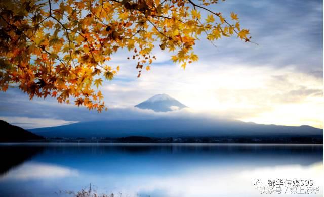 去日本旅游最新攻略,去日本旅游最详细攻略