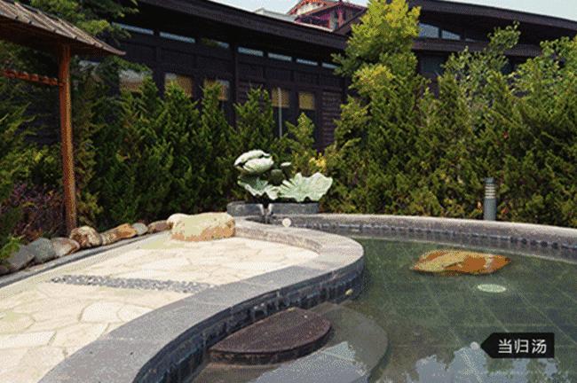 大连周边温泉度假村排名榜,大连周边温泉游最佳地方