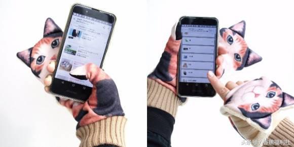 猫咪就是最好的时尚单品,猫咪就是这个世界上最可爱的动物