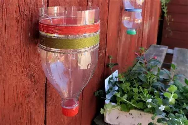 小瓶子手工制作小东西养花,省钱10大养花神器1个塑料瓶做出来