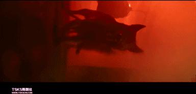 2017韩国最牛“犯罪片”！《霜花店》男主又一部力作！