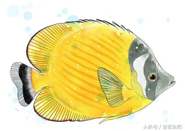 优质农产品能吃吗,可以放心食用的农产品