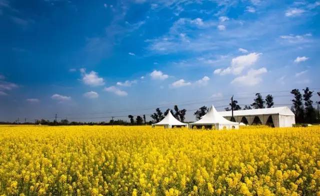 成都有什么好玩的东西,成都到底有多好玩