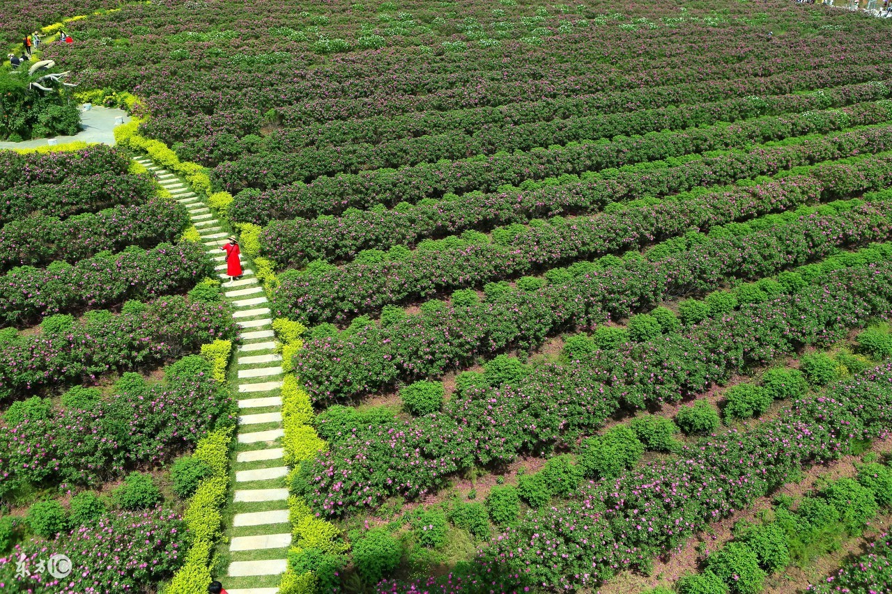 王莽是怎样的一个人