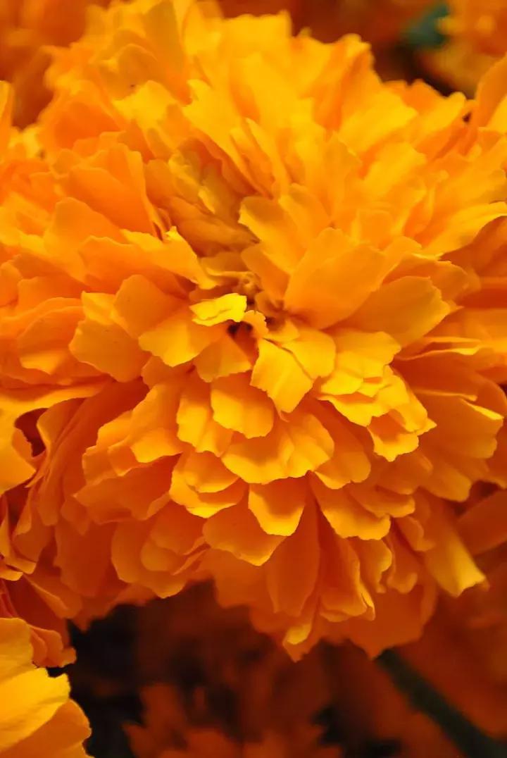 被名字耽误的好电影悬疑,被名字耽误的好电影