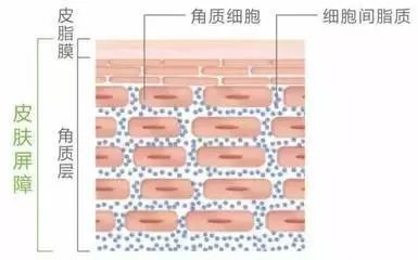杨幂同款热喷蒸脸器,杨幂护肤面膜