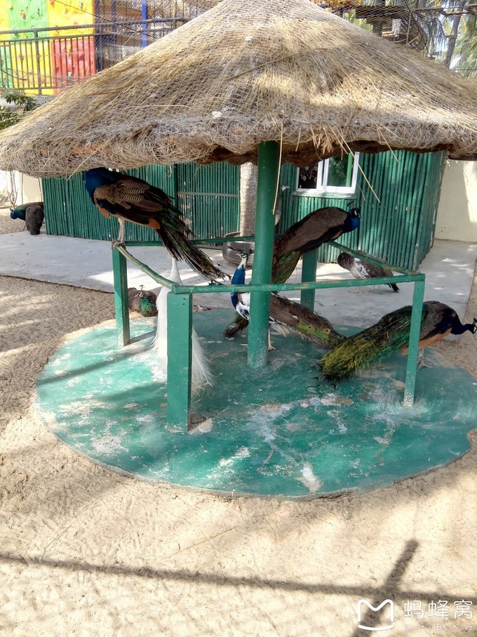 三亚旅游全攻略带孩子必玩,带小孩感受阳光与海滩