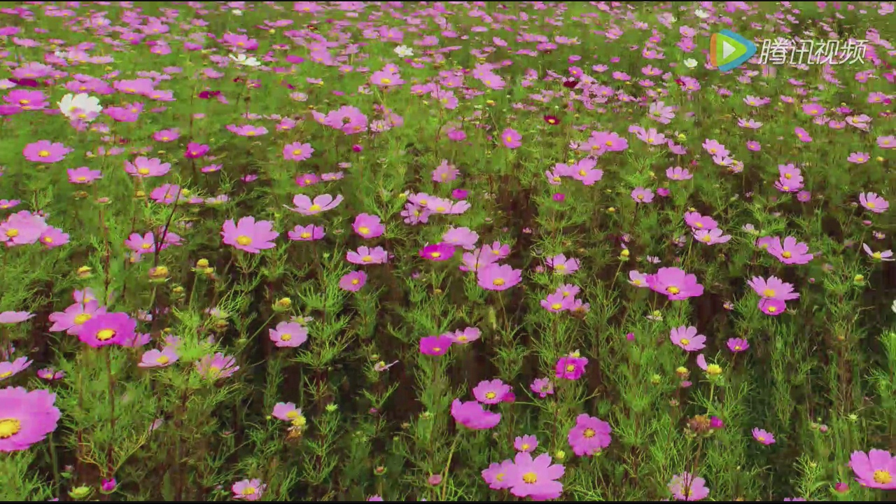 100元买一个盒子,电视盒子价格高低的区别