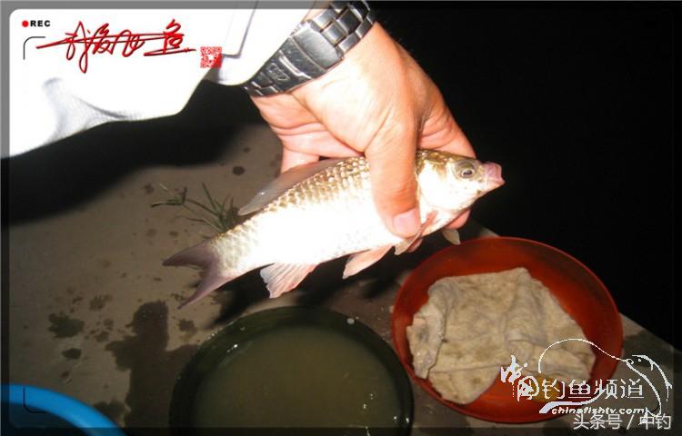 蝙蝠老是来屋里怎么赶走,蝙蝠来屋里怎么办