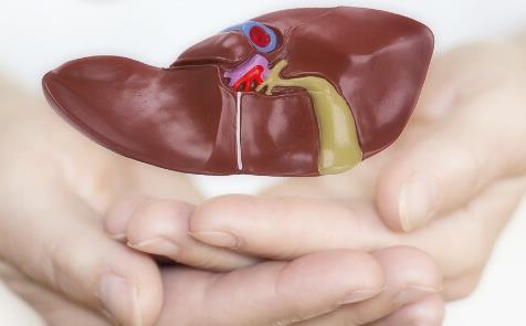 知道自己乙肝10多年没检查,得了乙肝不治疗会自愈吗