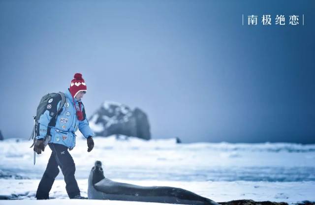 4月好片推荐,6月好片