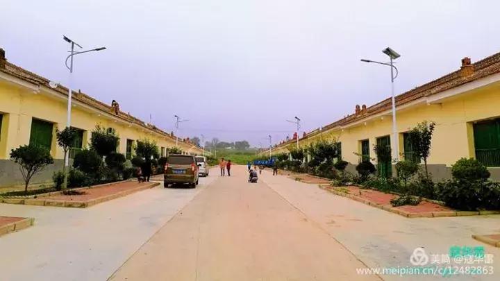 中国天然氧吧为什么是永寿,永寿槐林氧吧