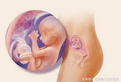 刚出生的婴儿尿布上有血迹,刚出生的女婴尿布