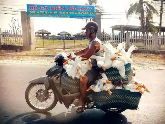 水中跑步机,跑步机正确跑步不伤膝盖的方法