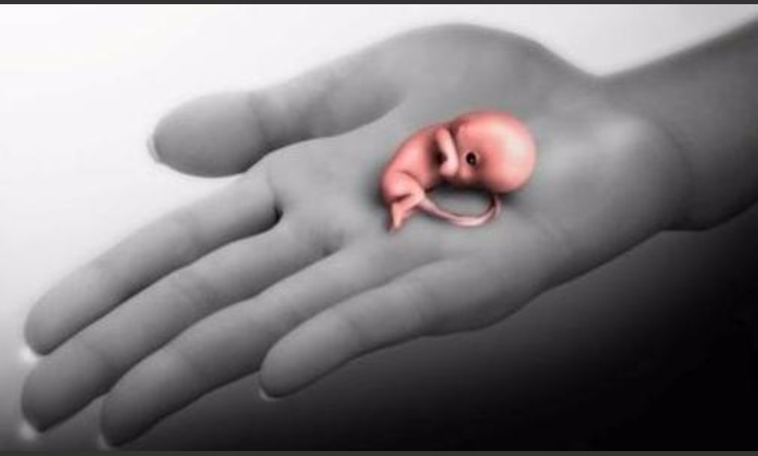 怀孕刚开始出血医生说是先兆流产,怀孕出血医生说先兆流产保得住吗